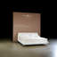 Premier Natural 11.5'' Plush Latex Mattress and Box Spring Set-61835224