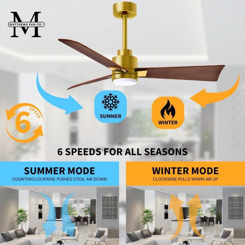 Alessandra - Three Blade Transitional Ceiling Fan -LED, Brushed Brass, 56", Walnut