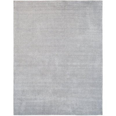 Mineral Area Rug in Gray