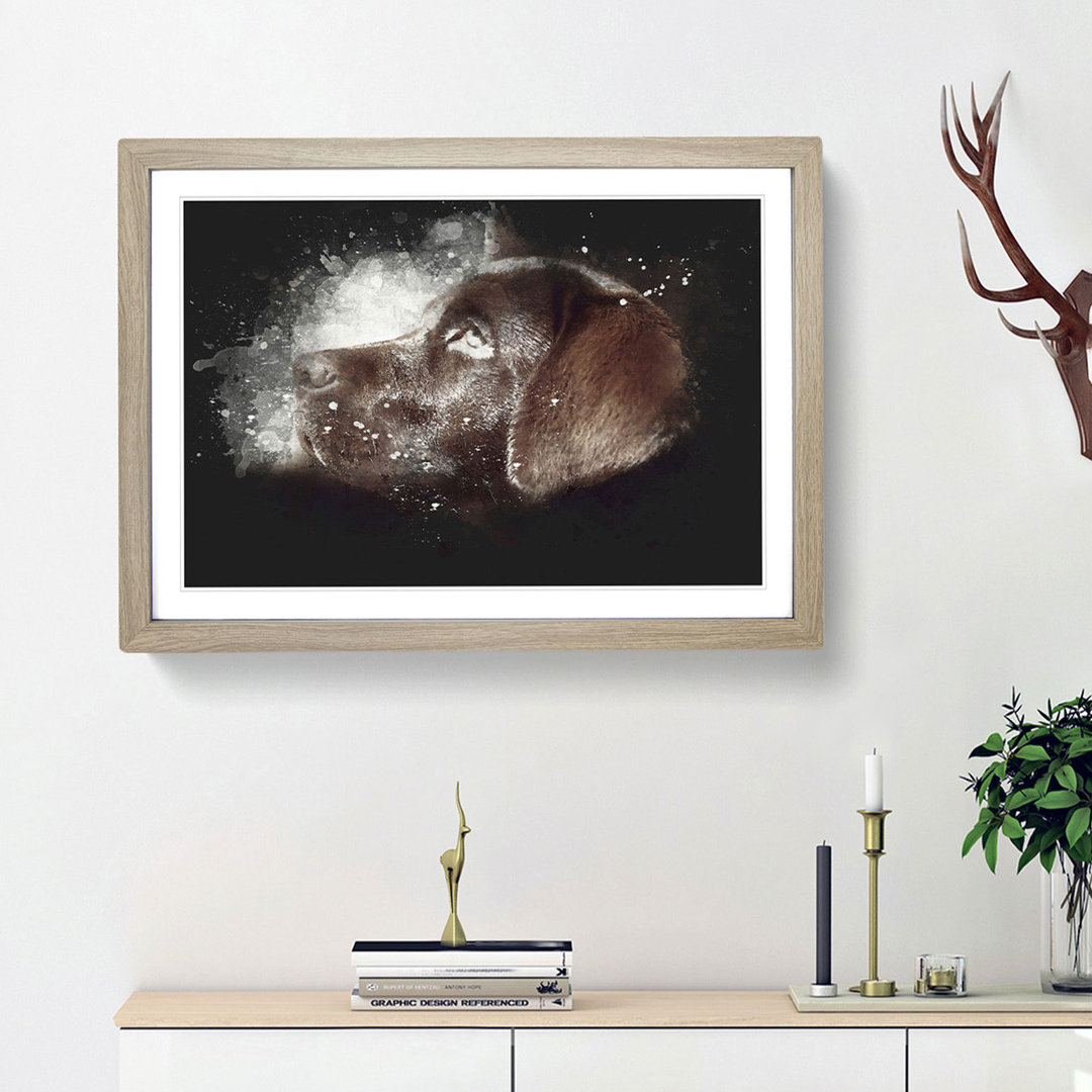 Chocolate Labrador Portrait - Framed Print