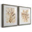 Parchment Coral III - ensemble de 2 reproductions d'art sur toile encadrées