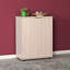 10 Pair Shoe Storage Cabinet-817916866