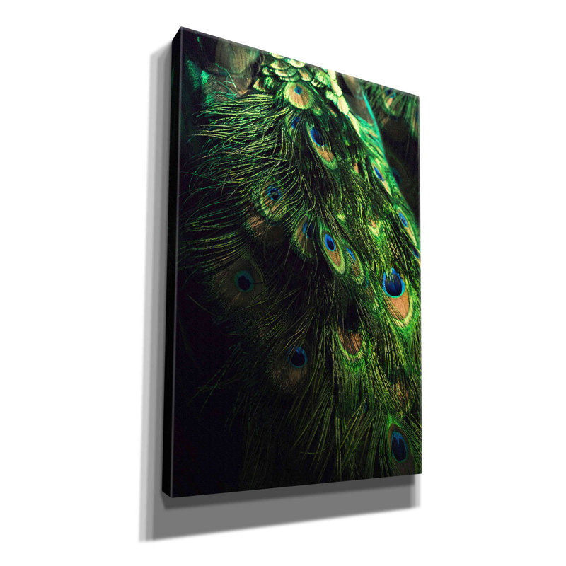 «Peacock Tail» par Incado - reproduction sur toile tendue, L 12 po x H 18 po