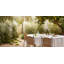 Lacoste Dining Chair