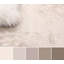 Tapis ivoire Gouveia-490057991