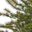 Green Pine Artificial Christmas Tree-750295500-701600468