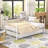 Korecky Steel Daybed with Trundle Bed-812409593