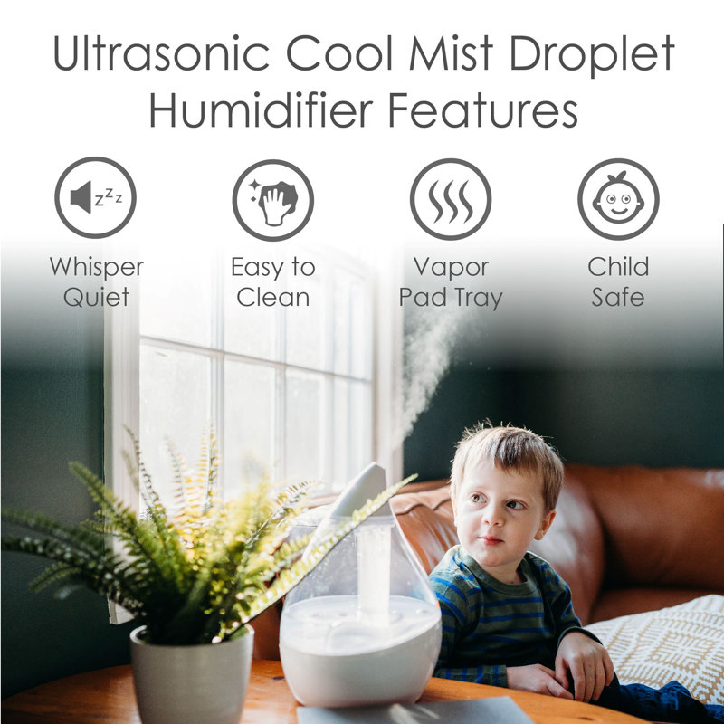 Clear and White Ultrasonic Cool Mist Humidifier with Auto Shutoff
