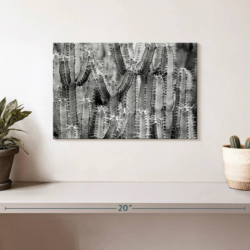 Harnek Cactus Black And White, 8" H x 12" W