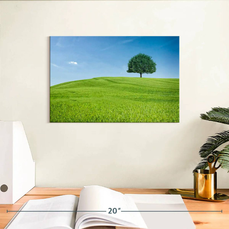 Colline et arbre toscan Alvord, H 8 po x l 12 po