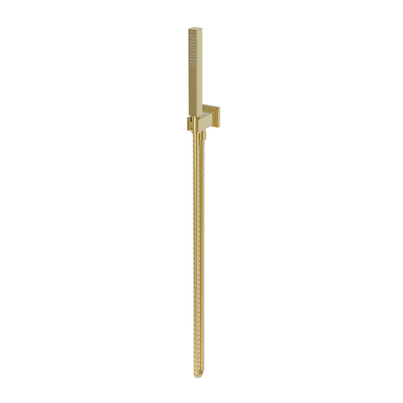 Single Function Hand Shower Set, Polished Gold (PVD)