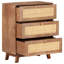 Denzell Sideboard 61x35x76 cm Solid Mango Wood