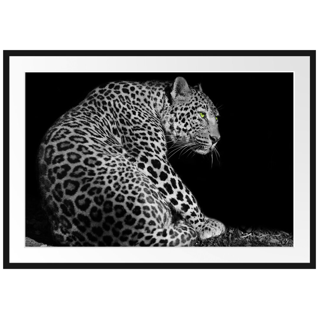 Gerahmtes Poster Dark wunderschöner Leopard