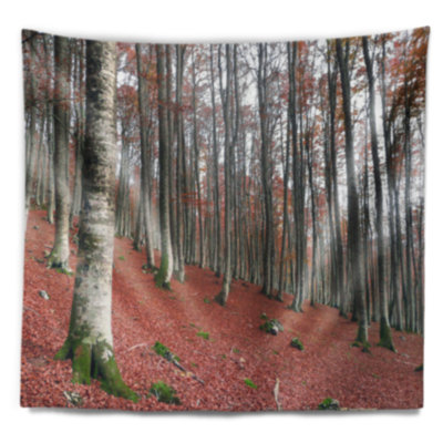 Tapisserie forêt automne serene