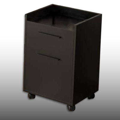 2-Drawer Chest Filing Cabinet On Wheels For Study Room