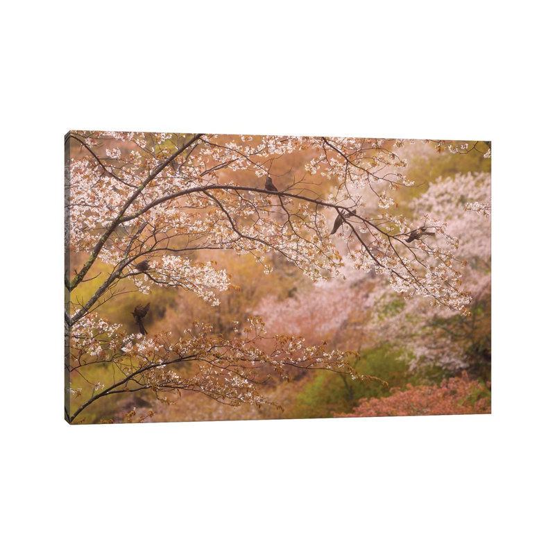 Spring In Japan XXII by Daniel Kordan - Wrapped Canvas Print, 101.6 cm H x 66.04 cm W x 3.175 cm D