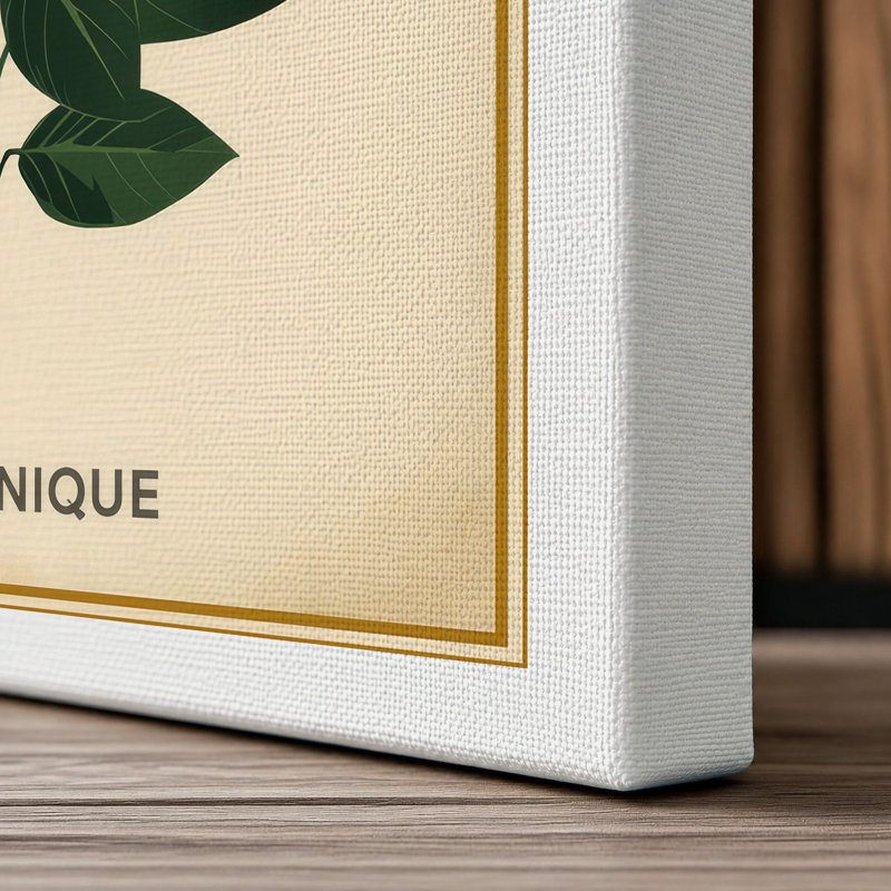 Specimen Botanical - Wrapped Canvas, 24x16 - 61.0 x 40.6 cm, White Border