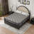 Hasegawa 14" Firm Euro Top Hybrid Mattress with Gel Memory Foam-1649434192