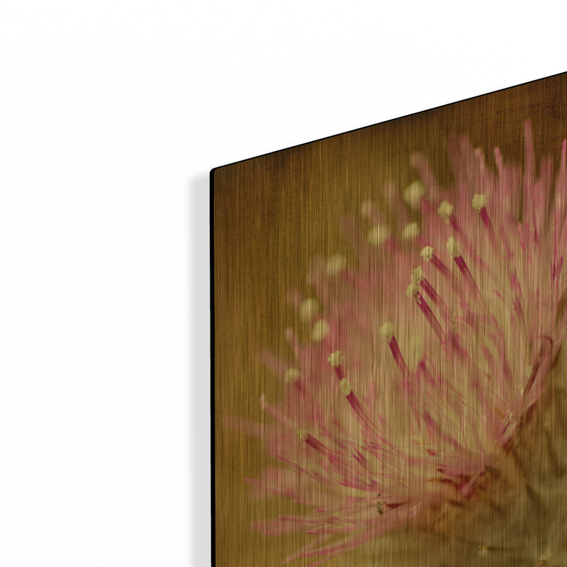 « Fleur de chardon » de Jessica Rogers, tableau mural en métal doré, 40,6 x 61 cm, 16 po x 24 po