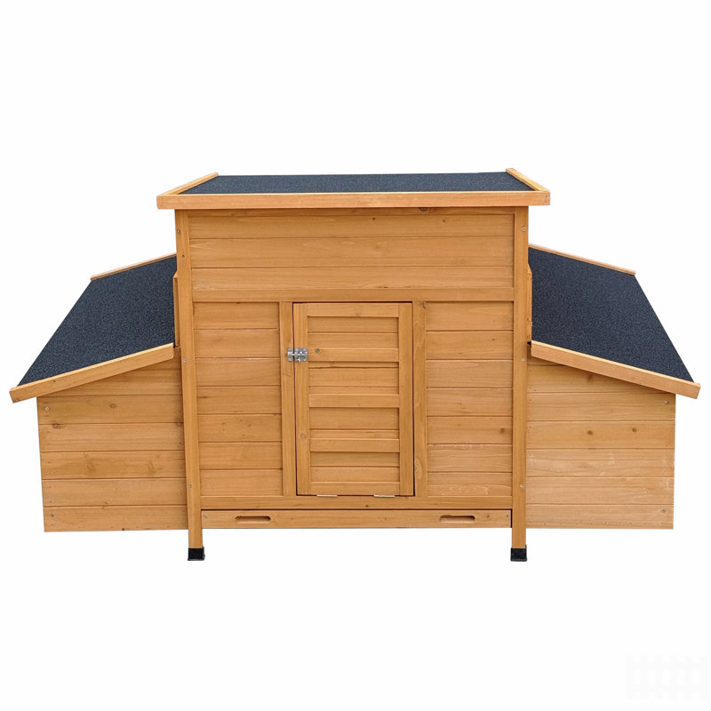 Chicken Coop