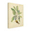«Bird and Botanical V», reproduction sur toile tendue-33519820