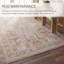 Kerin Oriental Machine Woven Polyester/Polypropylene Area Rug in Beige/Cream-56798250