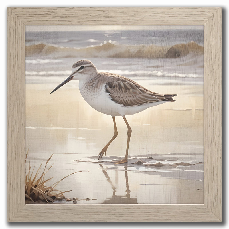 Sandpiper II Framed Wall Art