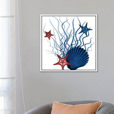 Nautical Resurgence I by Albert Koetsier - Print on Canvas