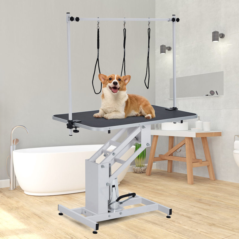 Table de toilettage hydraulique pour chien de 43 pouces avec hauteur réglable