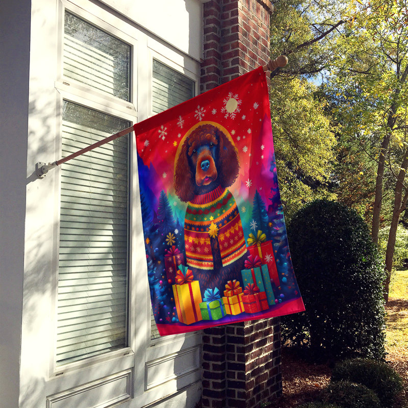 Double Sided 40'' H x 28'' W Polyester Christmas House Flag
