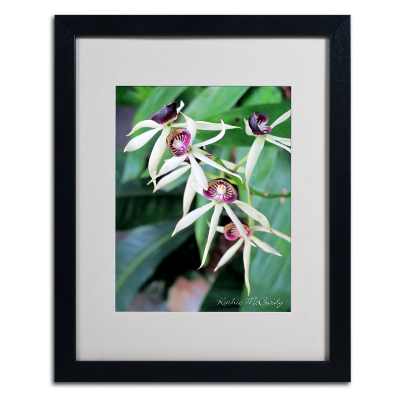 "Orchidées II" par Kathie McCurdy, "Merujhan", reproduction de photo encadrée, Noir, H 20 po x l 16 po x P 0,5 po