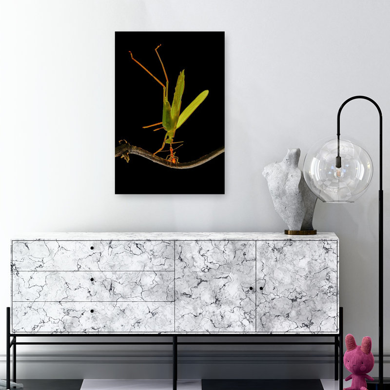 Insect Ant Battle Dramatic Abstract Contemporary Ant Forest Nature Wall Art Print by Edy Pamungkas - Print