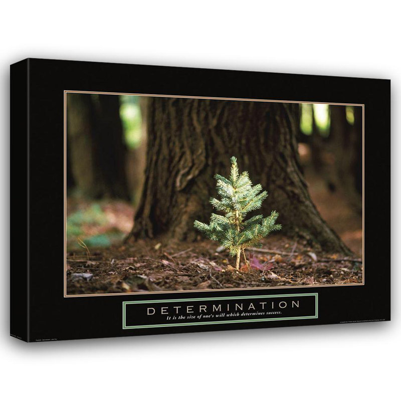 Art sur toile de la galerie Frontline de Latitude Run®, titre: Petit pin, H 36 po x l 45 po