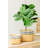 Planter, Set of 2 Rectangular Basket Planters with Geometric Trim