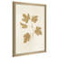 Botanical Study III Gold Crop - Peinture-940370897-940370898
