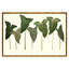 Arum Italicum Garden Print by Sandy Whitaker-848244551