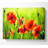 Beautiful Poppies - Wrapped Canvas Print-342669396