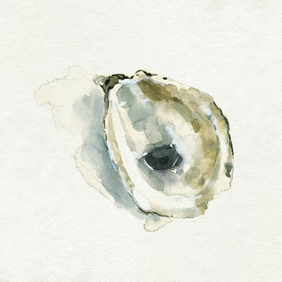 " Old-Salt Shell I " by Emma Caroline Painting Print