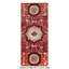 Aryana Wool Oriental Area Rug