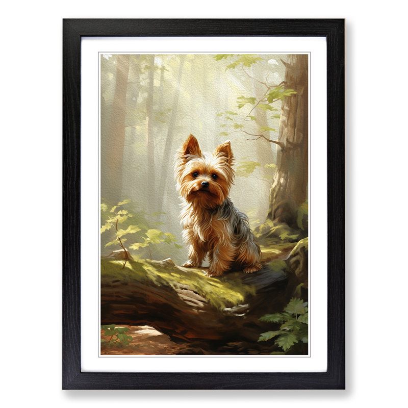 Yorkshire Terrier Informel - Single Picture Frame Print on Wood, 64cm H x 46cm W x 2cm D, Black