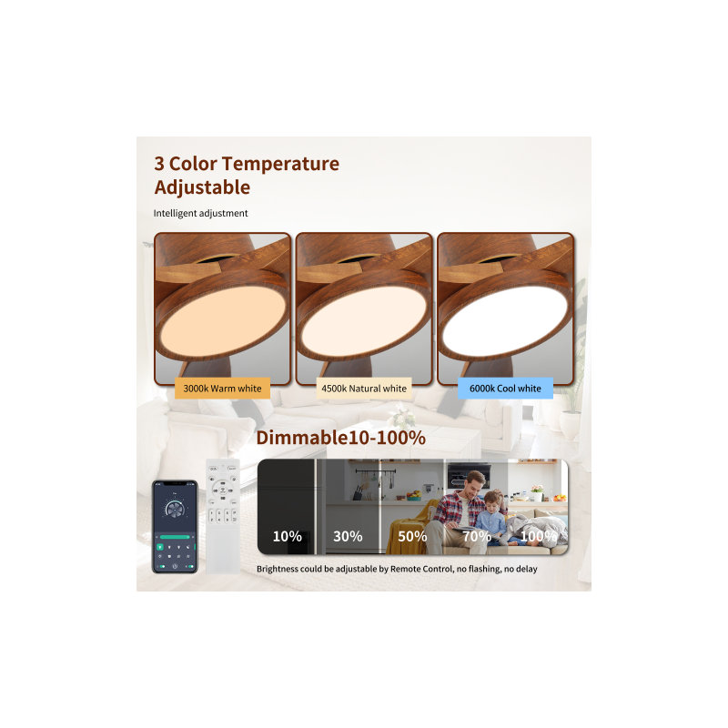Ventilateur de plafond 52 po avec lumière