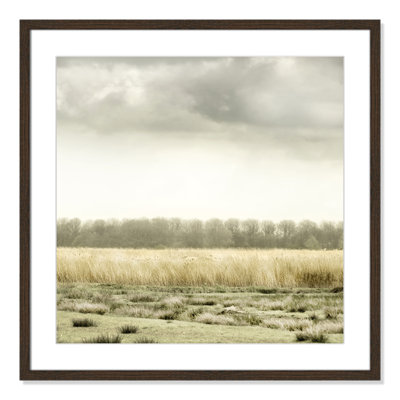 Henri Meadowland by Danita Delimont - Picture Frame Photograph