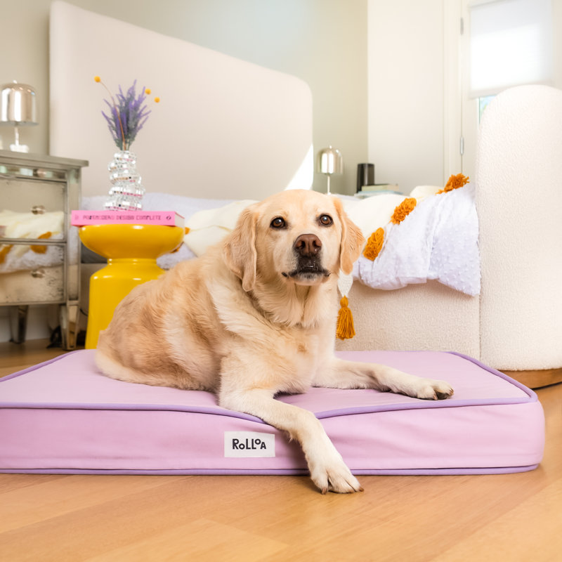 Lit orthopédique en mousse viscoélastique avec housse lavable Cooling Gel, L 30 po x P 24 po x H 3,75 po, Lilas