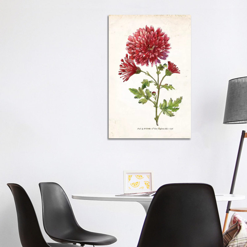 Botanical III by Nan - Wrapped Canvas Print, 101.6 cm H x 66.04 cm W