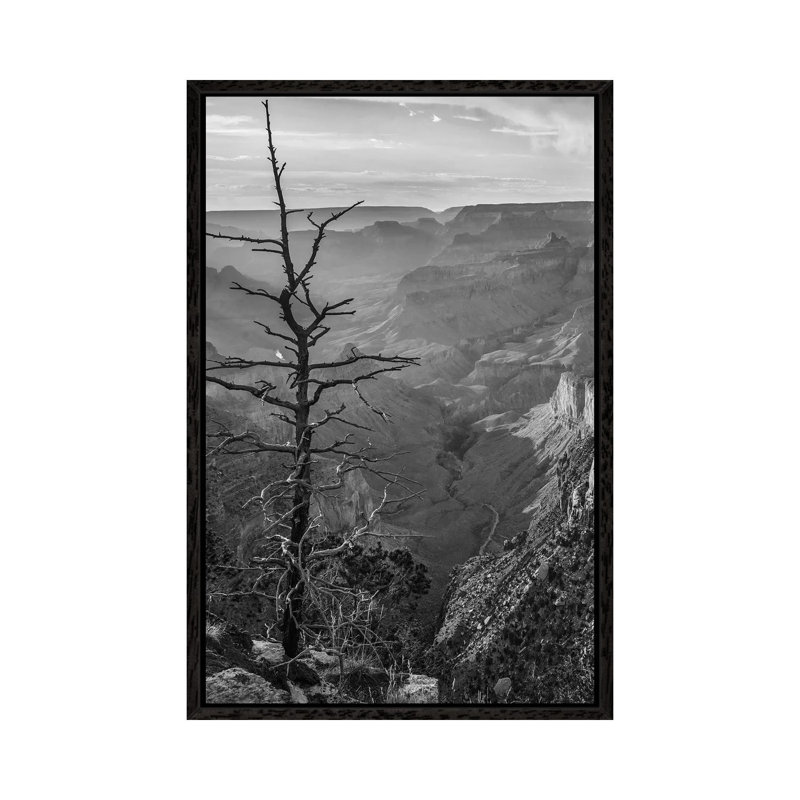 South Rim, Grand Canyon, Arizona by Tim Fitzharris - Gallery-Wrapped Canvas Giclée on Canvas, Black Framed