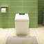Toilette intelligente 1 pièce à double chasse 1,32 GPF-102042617