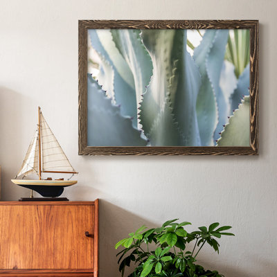 Blue Agave II, reproduction d'art sur toile
