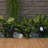 Solar Low Voltage Integrated LED Spotlight Pack