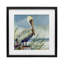 «Coastal Pelican Perch», reproduction sous verre encadrée, conception de Susan Winget-1864970879-1864970878