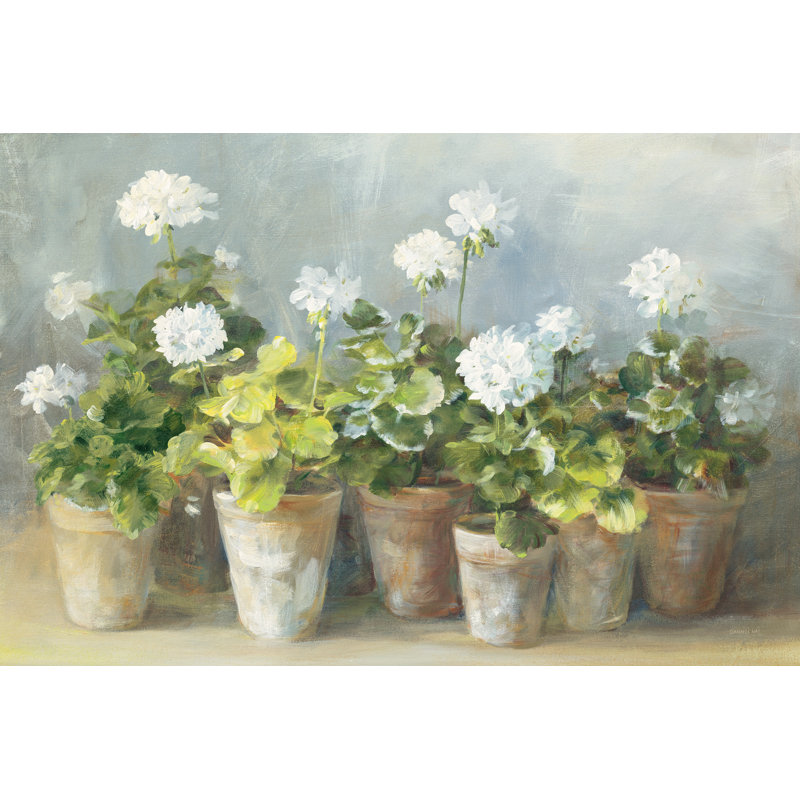 " White Geraniums " by Danhui Nai Painting Print, 12" H x 18" W